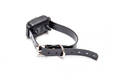 Pet Collar Calibration