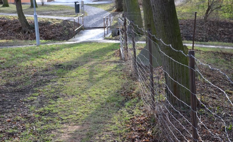 Wire Fence Replacement